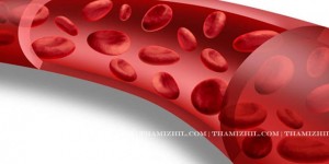 ரத்த நாளம், Blood, Hemoglobin, increase Hemoglobin, Increase Blood, Healthy life, blood cure, Blood increase