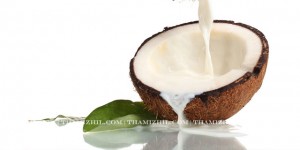"Coconut Milk", "Thengai paal", "Hair Growth"